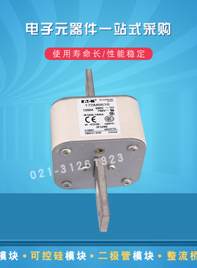 现货170M6616 6617 6618 6619 6620 6621 6629快速熔断器保险丝