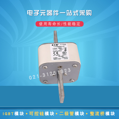 现货170M6616 6617 6618 6619 6620 6621 6629快速熔断器保险丝