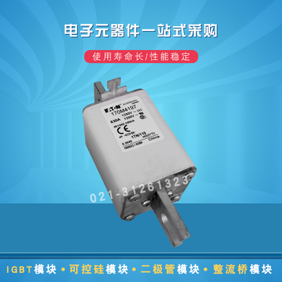 巴斯曼快速熔断器170M4194 4195 4196 4197 4198 4202 4203 4204