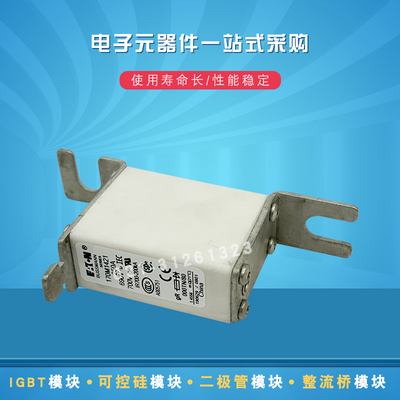 170M1466 1467 1465 1468 1469 1470 1471 1472快速熔断器保险丝