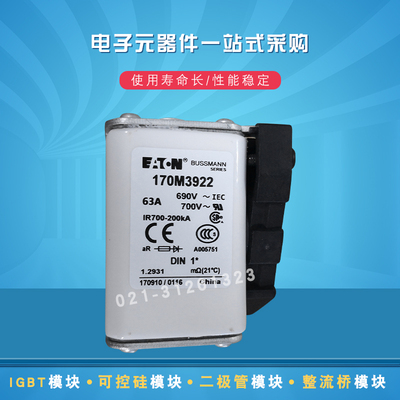 巴斯曼快速熔断器保险丝170M3924 3925 3926 3927 3928 3929 3930