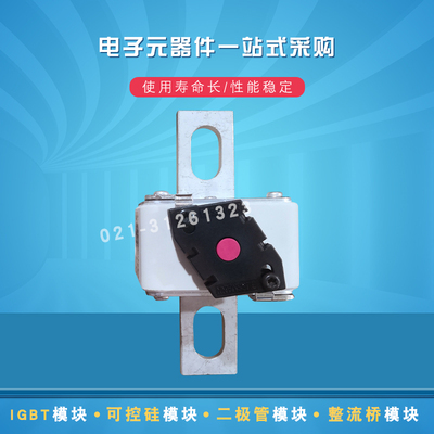 巴斯曼快速熔断器170M6664 6665 6666 6667 6668 6669 6670全新现