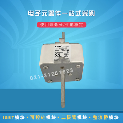 巴斯曼熔断器保险丝170M8505 8506 8507 8508 8509 8510 8511全新