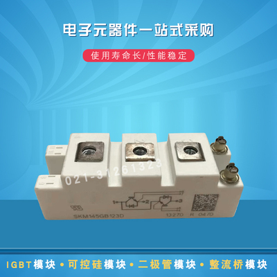 SKM100GB124DE SKM100GB124DN SKM145GB124DNIGBT模块全新