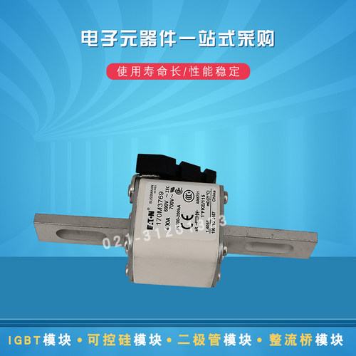 巴斯曼快速熔断器170M3768 3769 3770 3771 3772 3773 3808 0809