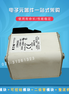 快速熔断器保险丝170M4359 4360 4361 4362 4363 4364 4365 4366