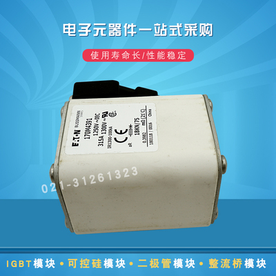 快速熔断器保险丝170M4359 4360 4361 4362 4363 4364 4365 4366