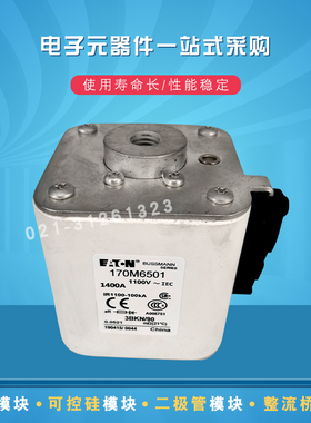 170M6513 6514 6515 6516 6517 6518 6519 6520快速熔断器保险丝