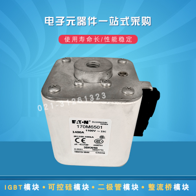 170M6513 6514 6515 6516 6517 6518 6519 6520快速熔断器保险丝