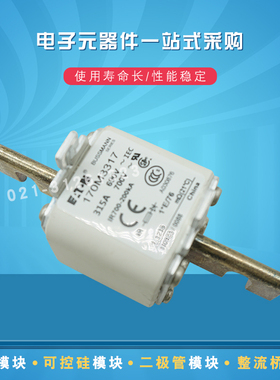 Bussmann熔断器保险丝170M3571 3572 3573 3608 3609 3610 3611原