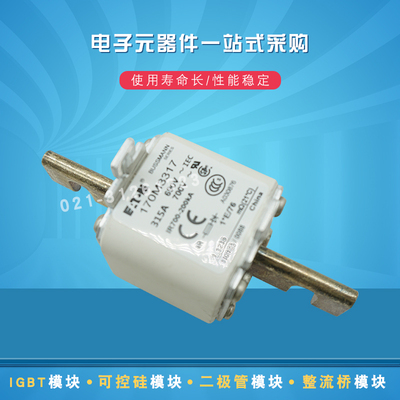 Bussmann熔断器保险丝170M3571 3572 3573 3608 3609 3610 3611原