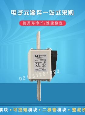 巴斯曼熔断器保险丝170M4719 4722 4734 4738 4739 4740 4741全新