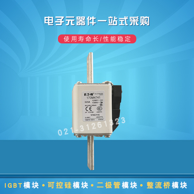 巴斯曼熔断器全新保险丝