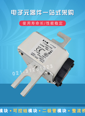 170M6764 6765 6766 6768 6769 6770 6771 6775 6776快速熔断器现