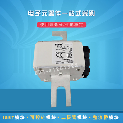 快速熔断器保险丝170M6793 6794 6795 6796 6797 6798 6799 6800