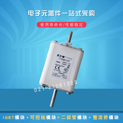 快速熔断器保险丝170M5197 5198 5199 5200 5208 5209 5210 5211