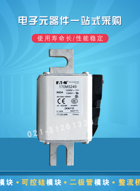 巴斯曼熔断器170M5280 52581 5282 5283 5284 5289 5308 5309全新