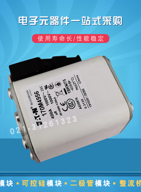 巴斯曼熔断器保险丝170M4984 4985 4986 4987 4988 4989 5008原装