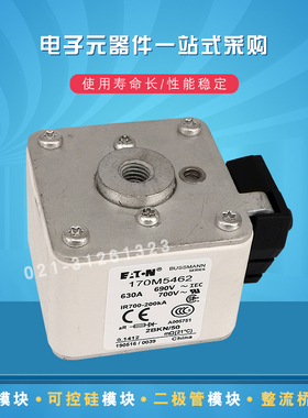 巴斯曼熔断器170M5461 5462 5463 5464 5465 5466 5467 5468 5469