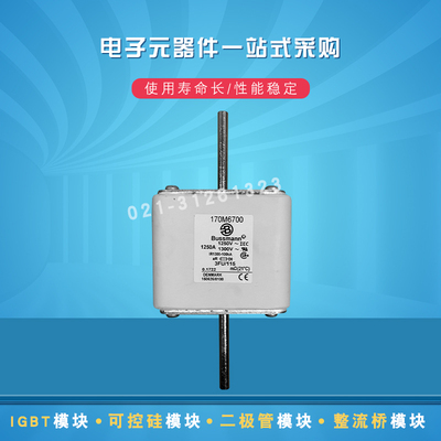 170M7001 7026 7028 7029 7031 7034 7035 7036快速熔断器保险丝