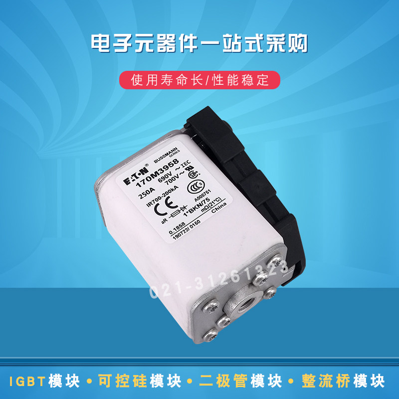 伊顿快速熔断器保险丝170M3462 3463 3464 3465 3466 3467 3468