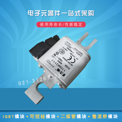 快速熔断器保险丝170M3169 3170 3171 3172 3173 3188 3189 3190
