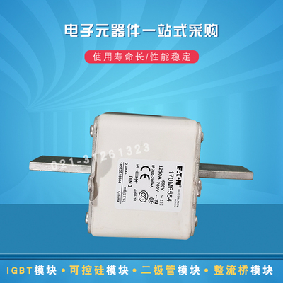 伊顿巴斯曼熔断器170M8512 8513 8531 8532 8533 8534 8535 8536