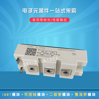 SKM75GB128D SKM100GB128D SKM145GB128DIGBT模块全新