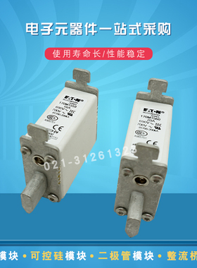 全新熔断器保险丝170M1516 1517 1518 1519 1520 1521 1522 1532