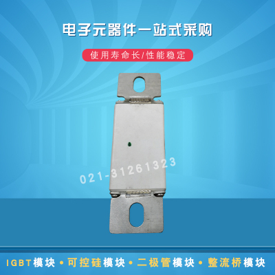 全新快速熔断器保险丝170M1807 1809 1810 1811 1812 1813 1824