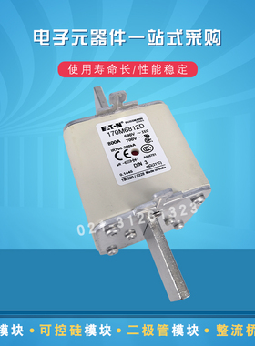 170M6817 6827 6828 6829 6830 6831 6832 6833快速熔断器保险丝