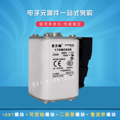 伊顿快速熔断器保险丝170M3462 3463 3464 3465 3466 3467 3468