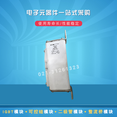 快速熔断器保险丝170M2001 2002 2003 2004 2005 2006 2007 2008