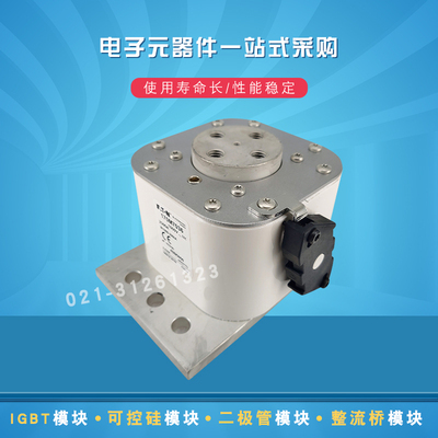 快速巴斯曼熔断器170M7037 7041 7042 7043 7044 7045 7046 7047