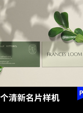 清新绿色树叶搭配名片模型vi提案智能贴图展示样机PSD设计素材