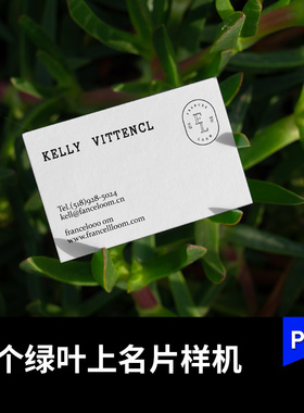 绿色植物叶子上名片卡片PS样机VI提案展示效果图设计素材