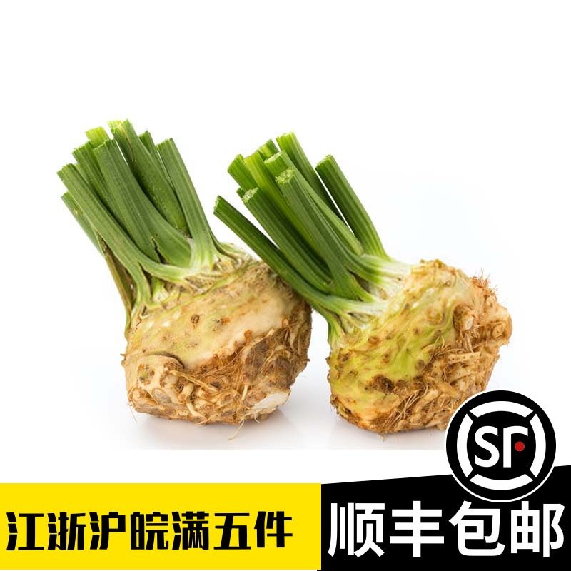 根芹新鲜食用500g洋芹celeriac西餐香料蔬菜球块根塘蒿芹菜根,水产肉类/新鲜蔬果/熟食,其它,淘宝优惠券,粉丝福利购,淘宝优惠卷