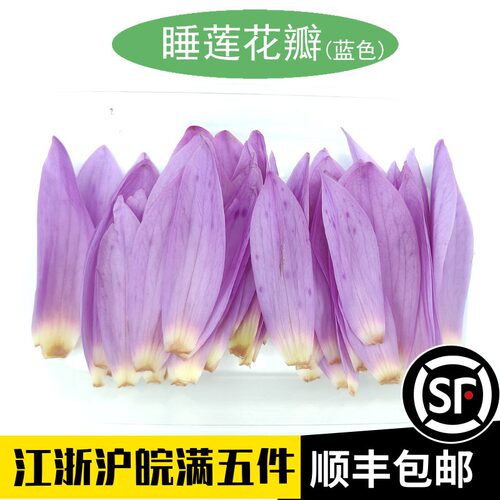 睡莲花瓣蓝色新鲜盒装酒店摆盘