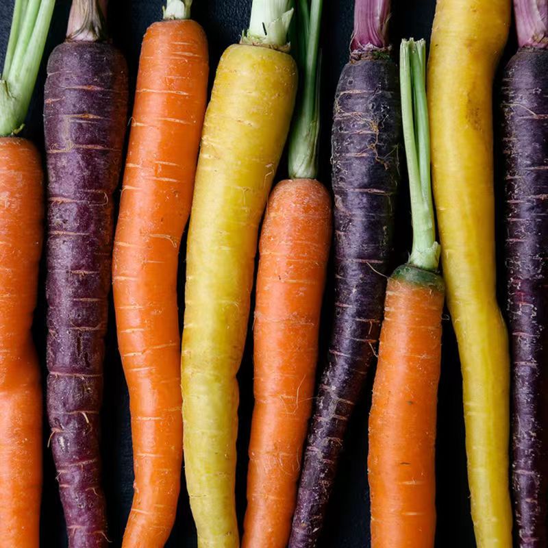 新鲜蔬菜即食七彩萝卜彩色迷你手指胡萝卜紫色黄色胡萝卜500g