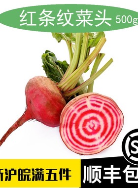 红条纹菜头Chioggia beetroot条纹萝卜食用意大利螺旋纹甜菜根