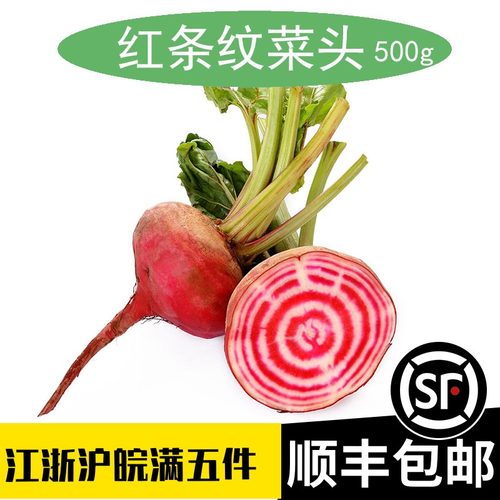 红条纹菜头甜菜根条纹萝卜
