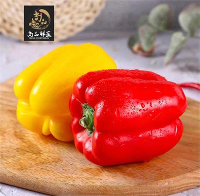 红黄彩椒圆椒灯笼椒水果甜椒