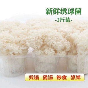 绣球菌新鲜食用菌绣球马牙菌对花菌蜂窝菌煲汤火锅非干货1kg盒装