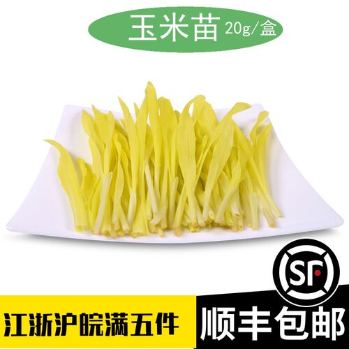 新鲜玉米芽蔬菜沙拉食用摆盘装饰