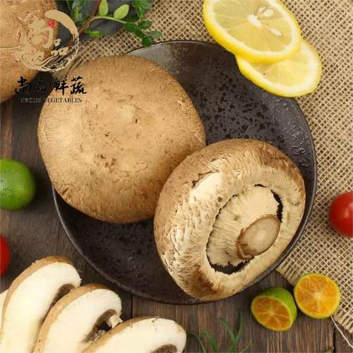 新鲜褐菇牛排菇珍宝菇食用菌菇