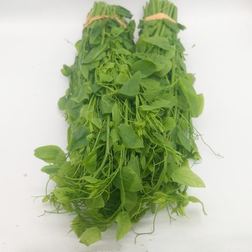 新鲜辣木苗姑娘菜龙须菜现采嫩叶