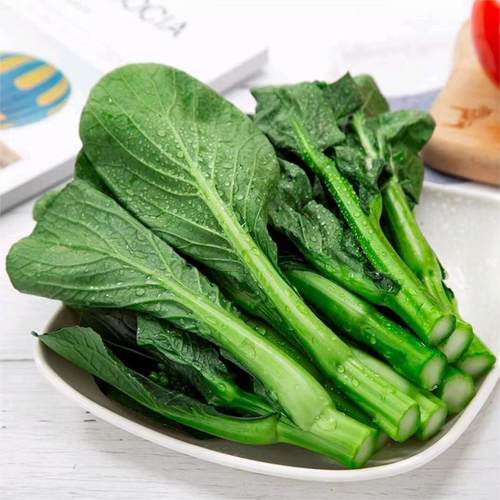 宁夏菜心苗菜心苗菜心仔鲜嫩清甜
