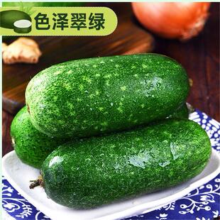 迷你小冬瓜新鲜广东毛节瓜粤菜食材 毛冬瓜产地直销任搭5件包邮