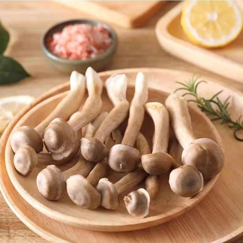 新鲜鹿茸菇1000g珊瑚菌2斤装干锅食用菌菇火锅店食材云南鹿茸菌,水产肉类/新鲜蔬果/熟食,新鲜松茸/菌菇,淘宝优惠券,粉丝福利购,淘宝优惠卷