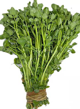 新鲜西洋菜豆瓣菜煲汤火锅菜